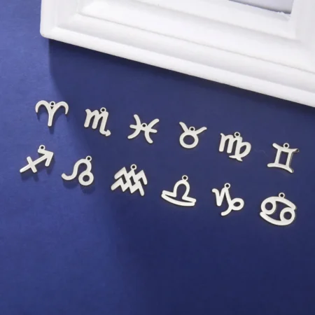 Teamer 12pcs/lot Zodiac Charms Stainless Steel Horoscope Astrological Sign Pendant for Necklace Bracelet Jewelry Making