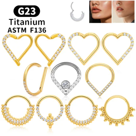 G23 Titanium Round Hoop D Shape Nose Ring Daith Heart Earring 16G CZ Hinged Segment Ear Tragus Cartilage Helix Piercing Jewelry
